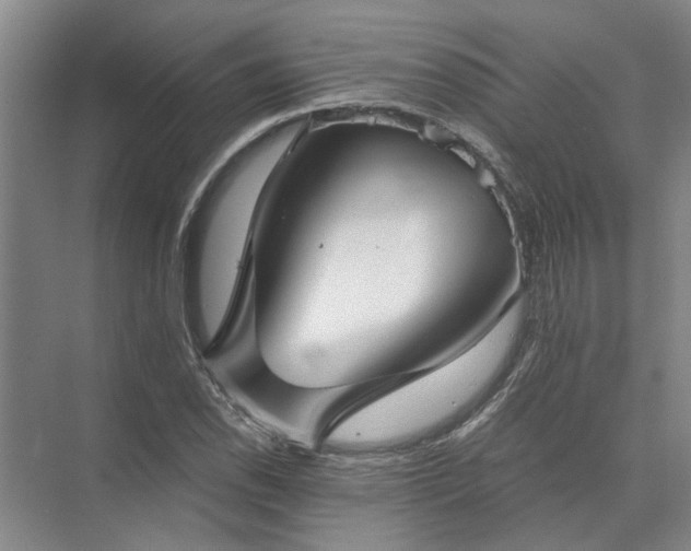 X0000072961118200607282249