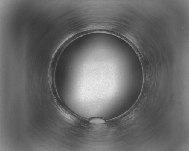 X0000072961119200607282249