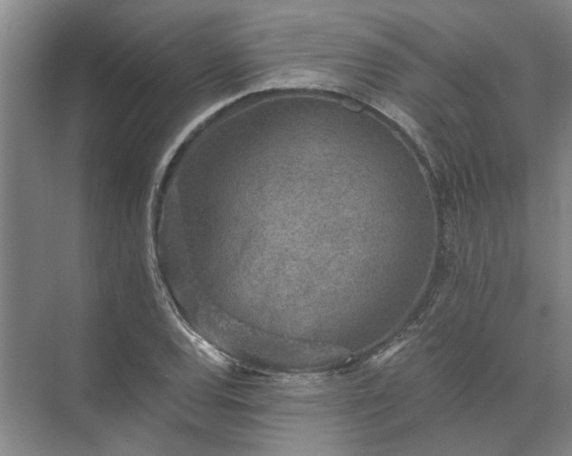 X0000072961120200607282249