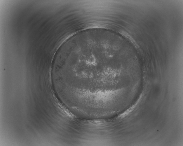 X0000072961121200607282249