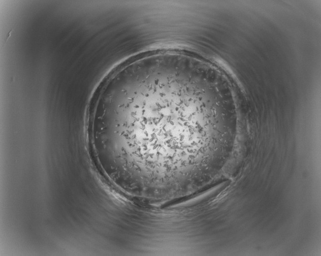 X0000072961124200607282249