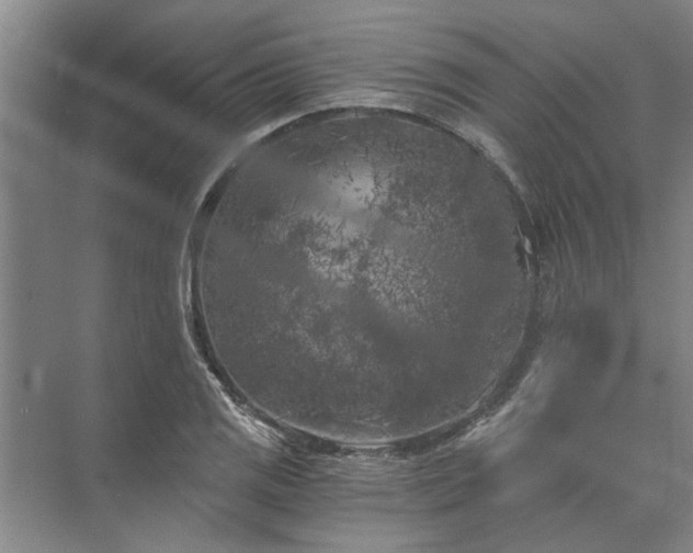 X0000072961125200607282249