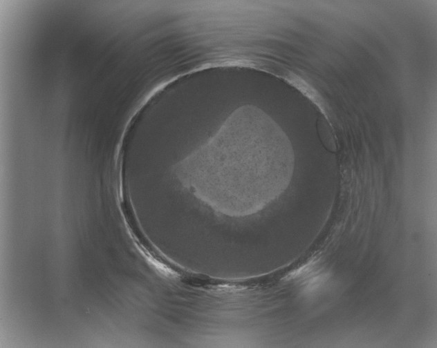 X0000072961127200607282249