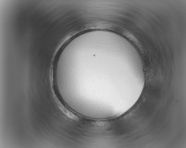 X0000072961130200607282249