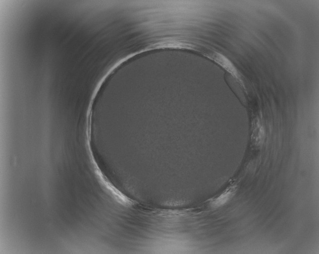 X0000072961132200607282249