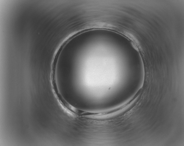 X0000072961136200607282249