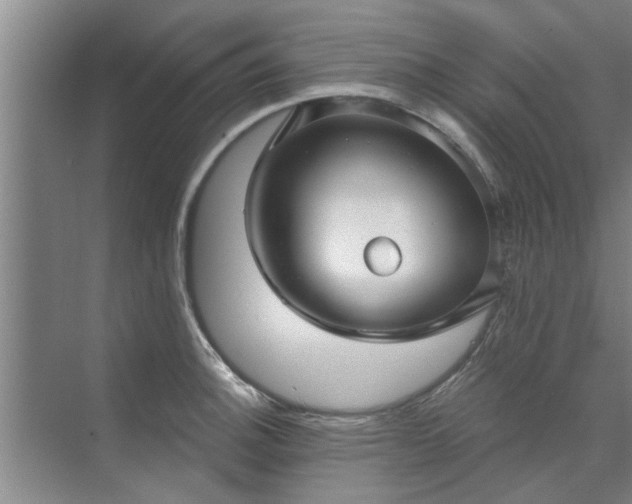 X0000072961140200607282249