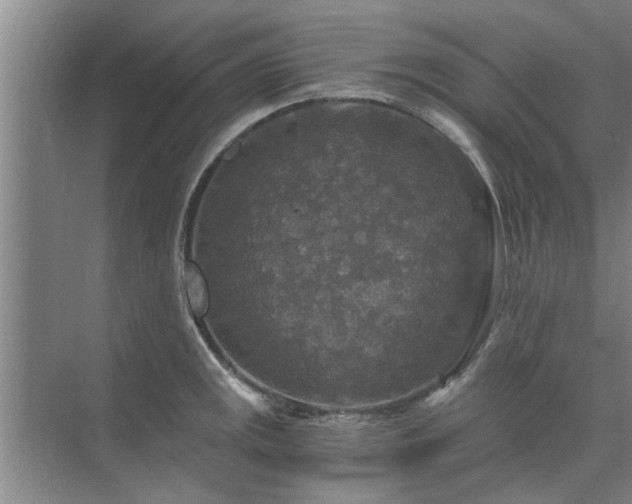 X0000072961141200607282249