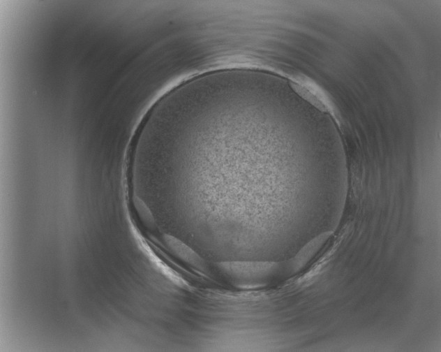 X0000072961142200607282249