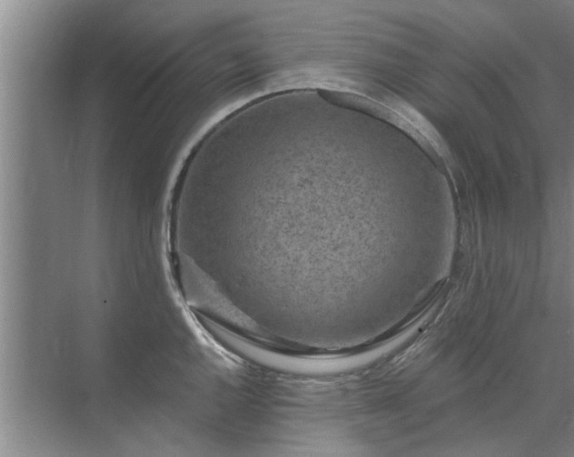 X0000072961144200607282249