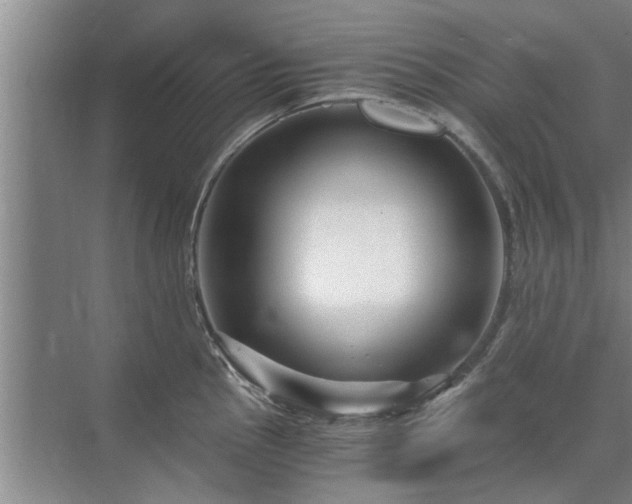 X0000072961145200607282249