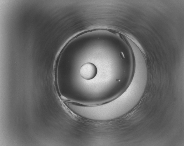 X0000072961148200607282249