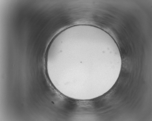 X0000072961150200607282249