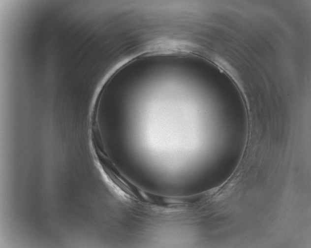 X0000072961152200607282249