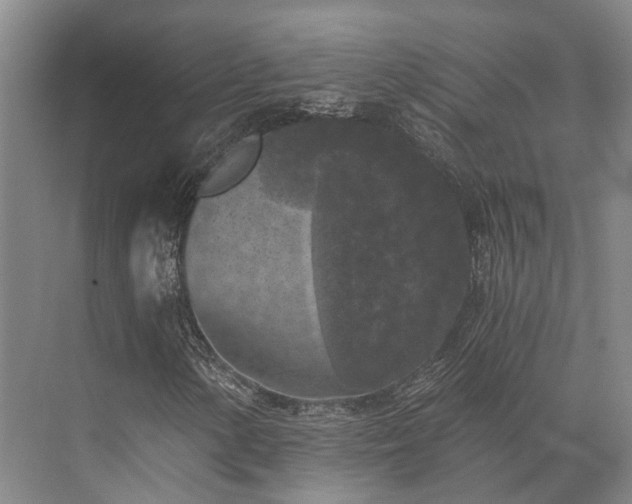 X0000072961154200607282248