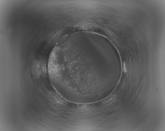 X0000072961155200607282248