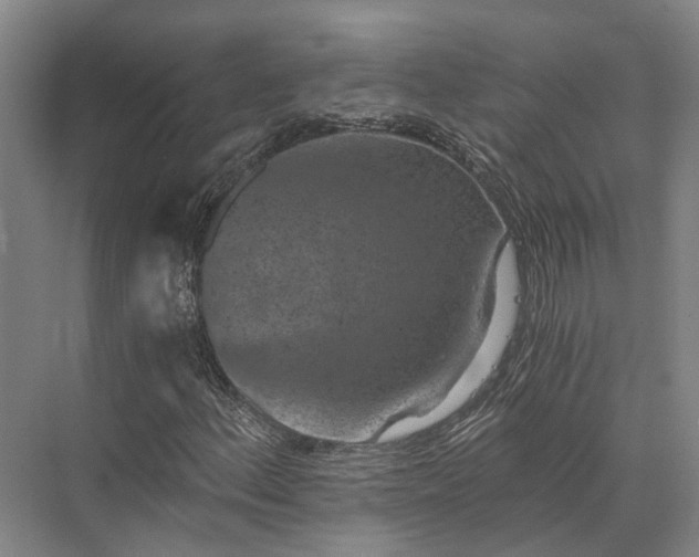 X0000072961156200607282248