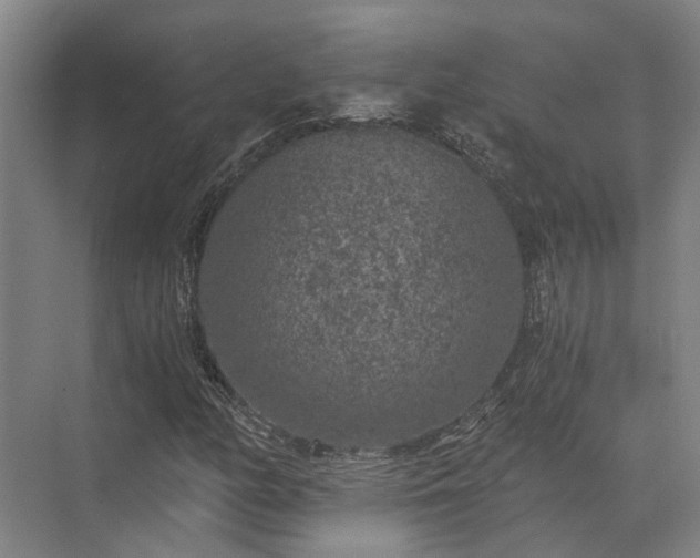 X0000072961158200607282248