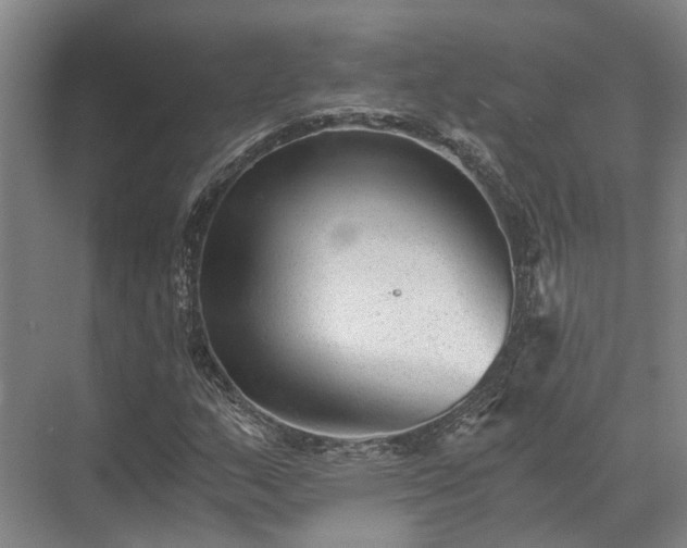 X0000072961159200607282248