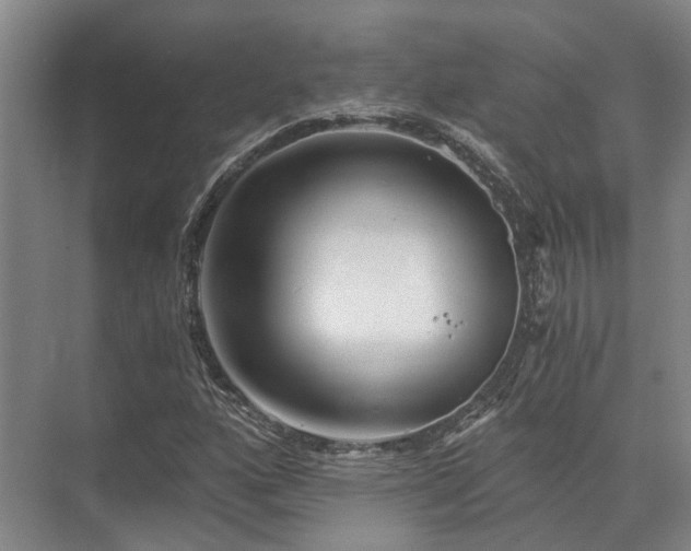 X0000072961160200607282248