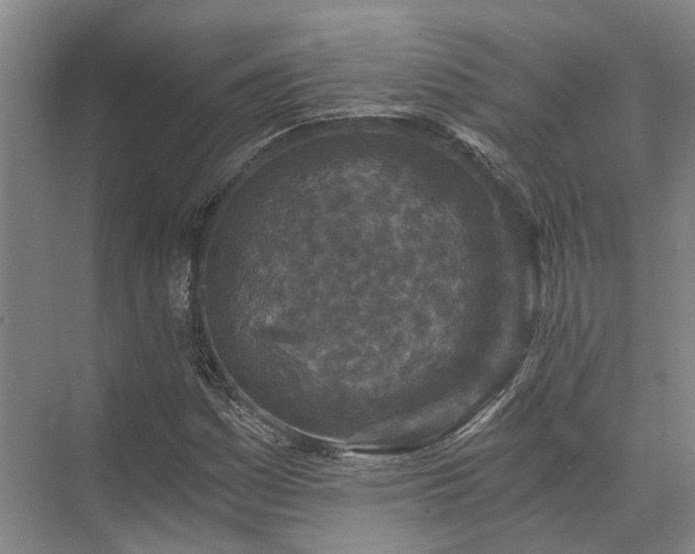 X0000072961161200607282248