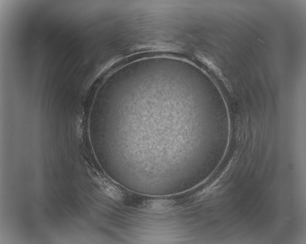 X0000072961163200607282248