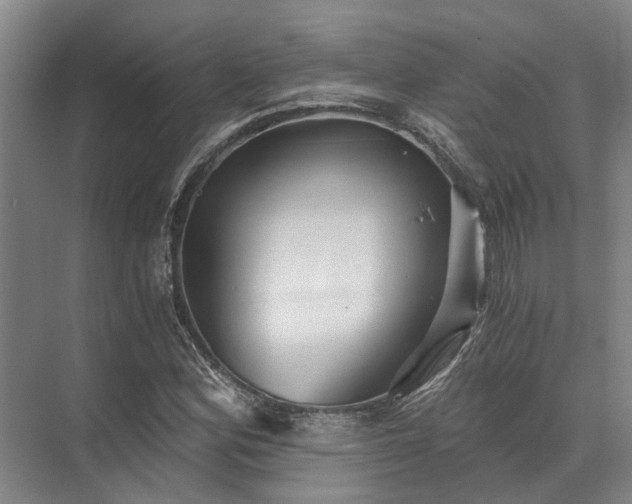 X0000072961164200607282248