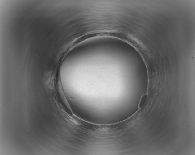 X0000072961169200607282248