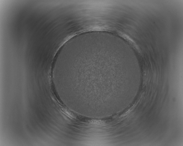 X0000072961170200607282248