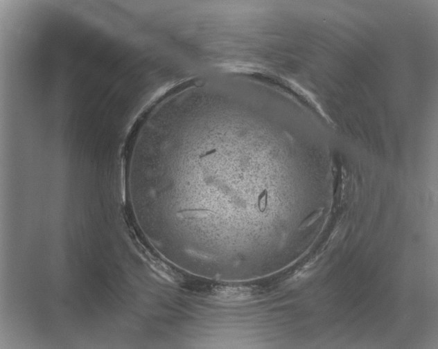 X0000072961171200607282248