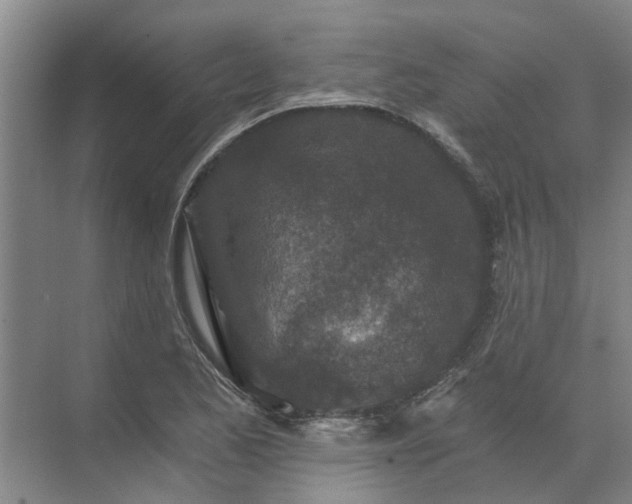 X0000072961173200607282248