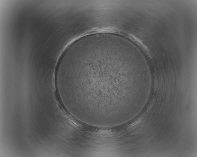 X0000072961174200607282248