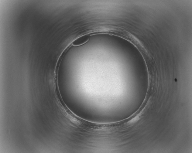 X0000072961178200607282248