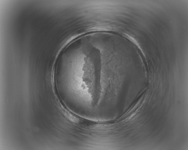 X0000072961179200607282248