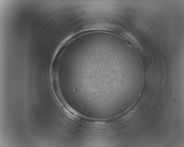 X0000072961180200607282248