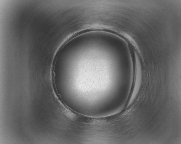 X0000072961183200607282248