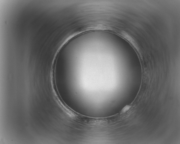 X0000072961187200607282248