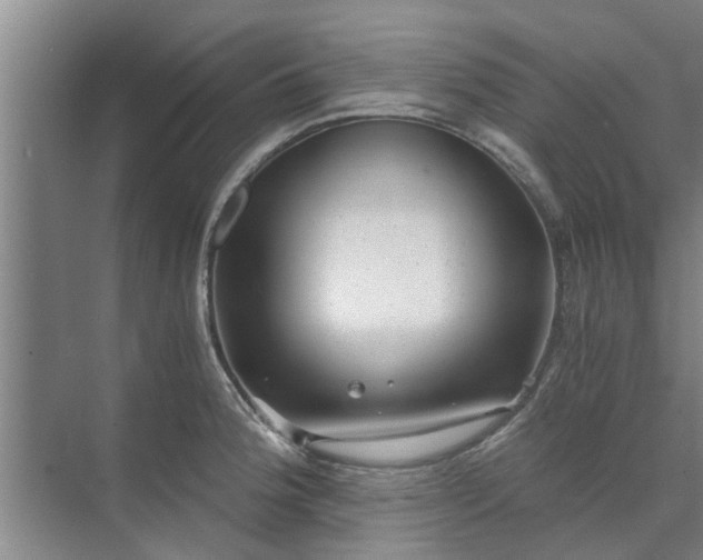 X0000072961188200607282248