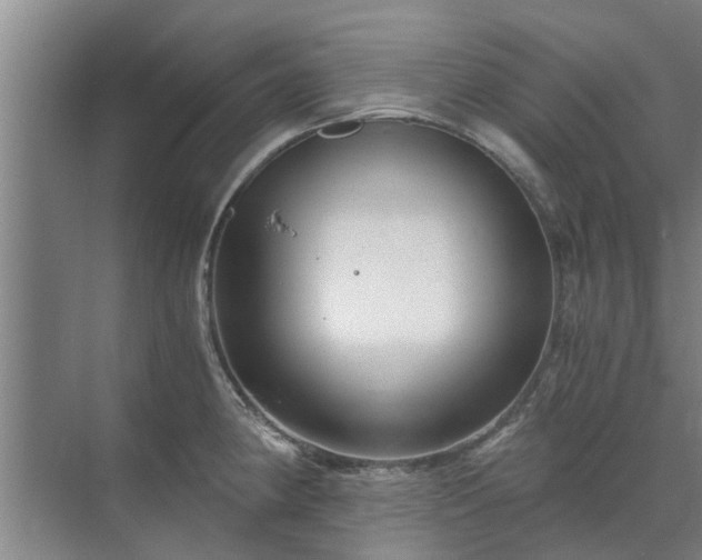 X0000072961190200607282248