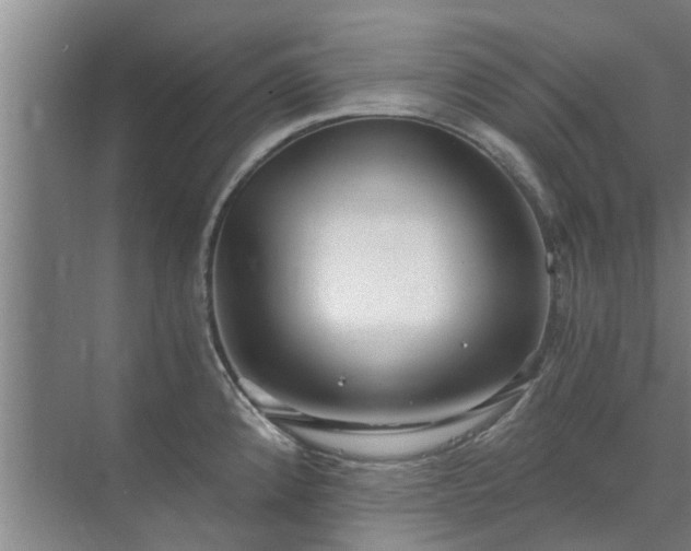 X0000072961192200607282248