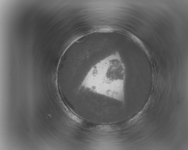 X0000072961194200607282248