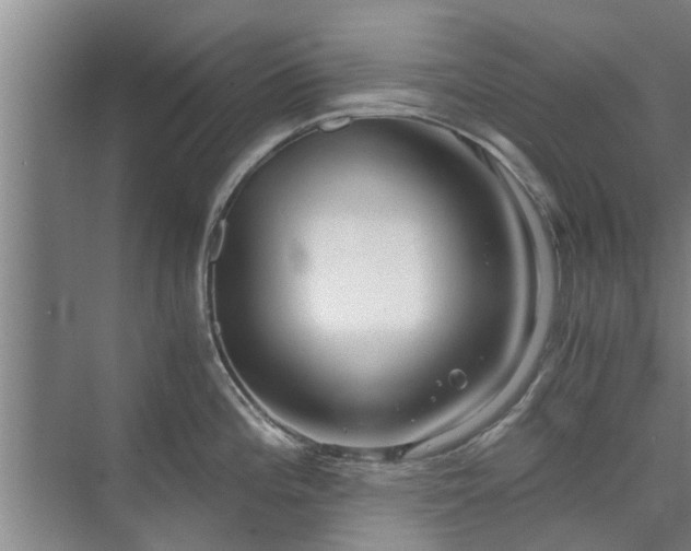 X0000072961196200607282248