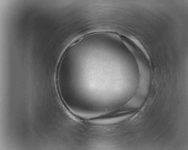 X0000072961197200607282248