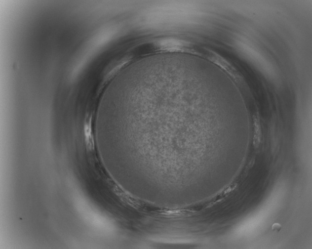 X0000072961198200607282248