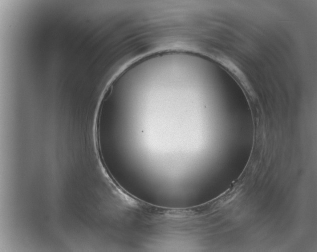 X0000072961199200607282248