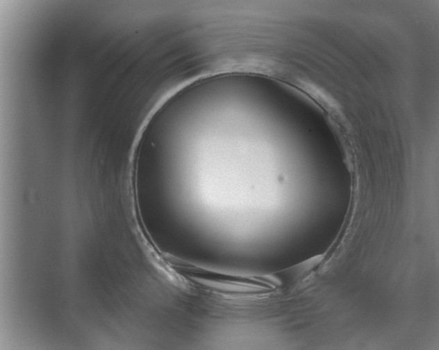 X0000072961200200607282248