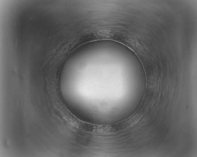 X0000072961201200607282247