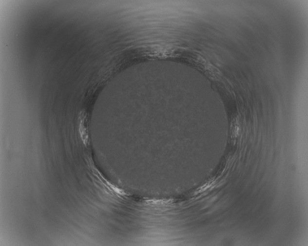 X0000072961202200607282247