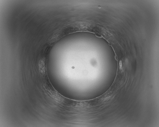 X0000072961203200607282247