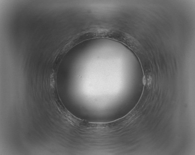 X0000072961204200607282247